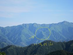 久し振りに登る山は 久し振りに登る山は