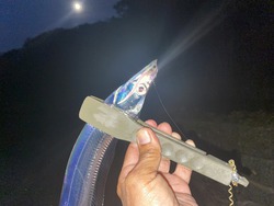 岬にてⅧ 岬にてⅧ