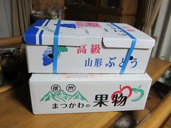 こんなモノを頂きました こんなモノを頂きました
