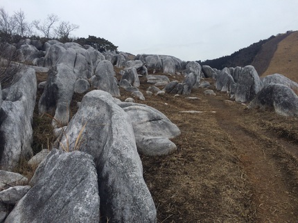 平尾台~貫山トレッキング 平尾台~貫山トレッキング
