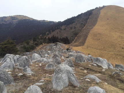 平尾台~貫山トレッキング 平尾台~貫山トレッキング