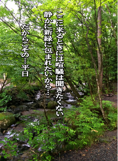 平日・雨、でもキャンプ!〜月刊「CARVY」44号 平日・雨、でもキャンプ!〜月刊「CARVY」44号