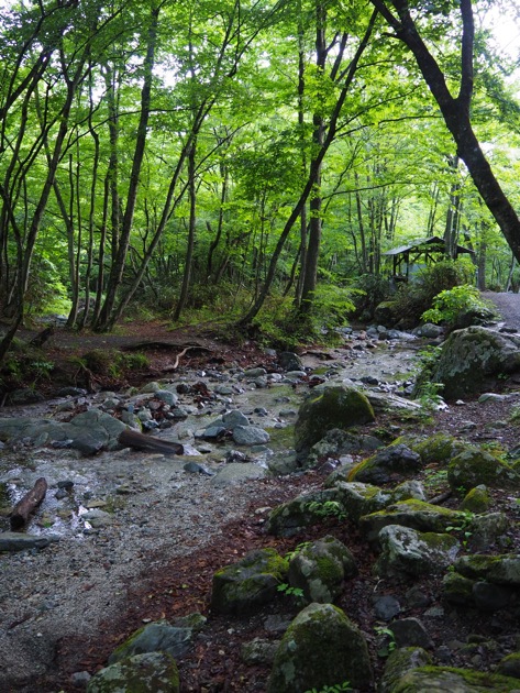 道志川を下る・・・ 道志川を下る・・・