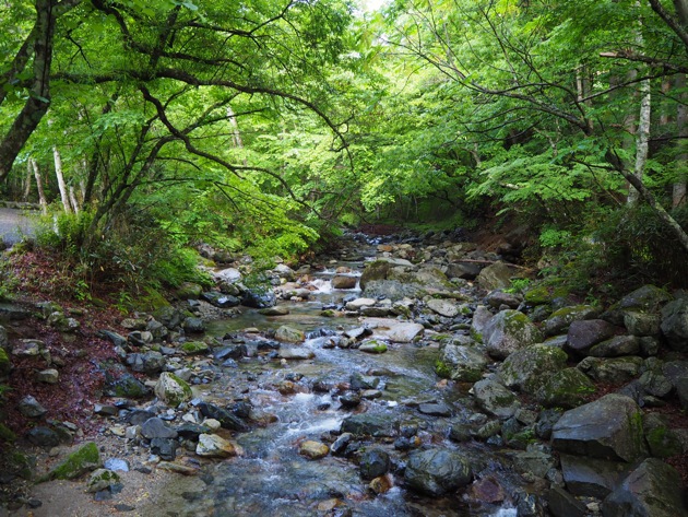 道志川を下る・・・ 道志川を下る・・・