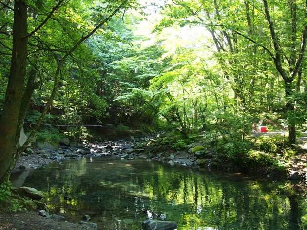 道志の森キャンプ場 〜 盛夏の平日ソロキャンプ 道志の森キャンプ場 〜 盛夏の平日ソロキャンプ