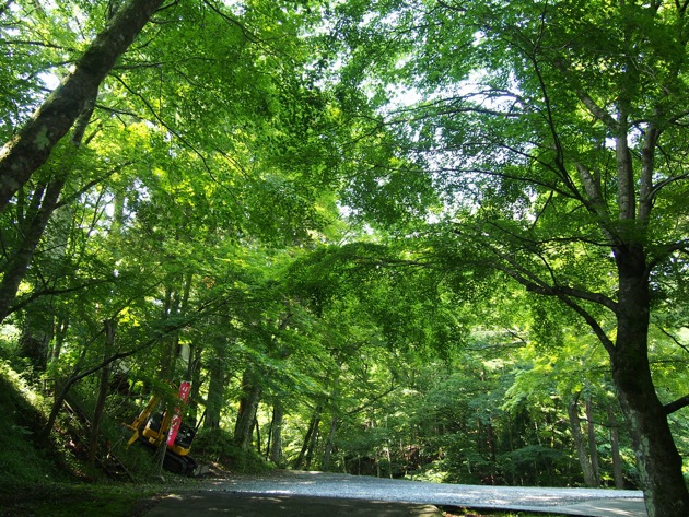 道志の森キャンプ場 〜 盛夏の平日ソロキャンプ 道志の森キャンプ場 〜 盛夏の平日ソロキャンプ
