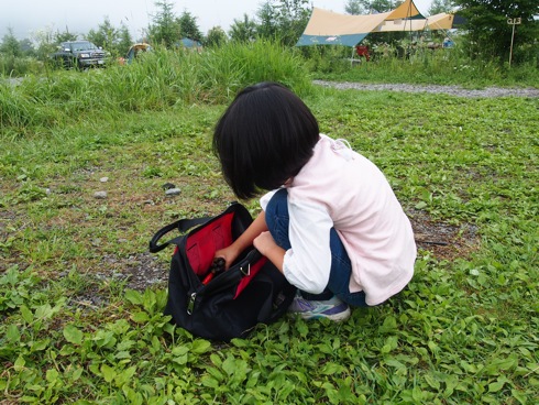 安いけど丈夫なペグケース 〜 SK11・ツールバッグM STB-300 安いけど丈夫なペグケース 〜 SK11・ツールバッグM STB-300
