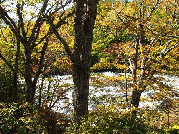 紅葉2016 〜 奥日光・華厳の滝と竜頭の滝・10月15日 紅葉2016 〜 奥日光・華厳の滝と竜頭の滝・10月15日