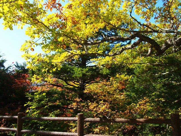 紅葉2016 〜 奥日光・華厳の滝と竜頭の滝・10月15日 紅葉2016 〜 奥日光・華厳の滝と竜頭の滝・10月15日