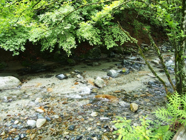 道志川を下る・・・ 道志川を下る・・・