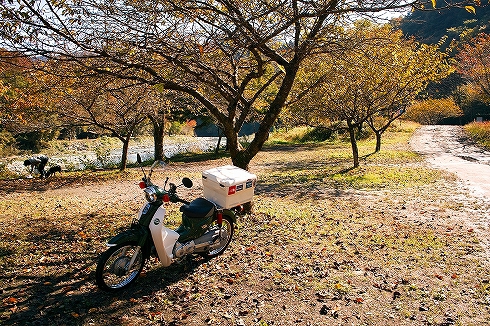 道志紅葉パトロール2016秋(11月3日備忘録) 道志紅葉パトロール2016秋(11月3日備忘録)
