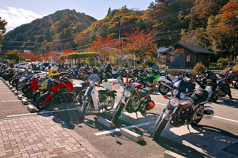 道志紅葉パトロール2016秋(11月3日備忘録) 道志紅葉パトロール2016秋(11月3日備忘録)