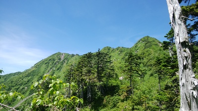 上高地～霞沢岳～大滝山～蝶ヶ岳グルリップ１
