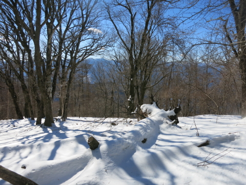 武甲山でなんちゃって雪山歩き・・・　
