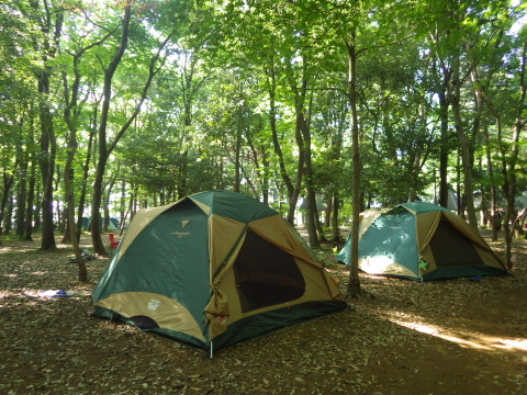 いつもの森で、初めての夫婦二人だけのキャンプ！