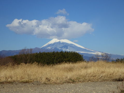 真冬でもカヌー！　狩野川で富士山見ながらダウンリバー　（さつきヶ丘公園キャンプ場）