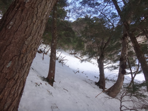 雪の白根隠山　絶景のテント泊はヤバかった