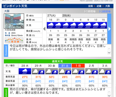ずっと雨かよ!青物ばくる ずっと雨かよ!青物ばくる