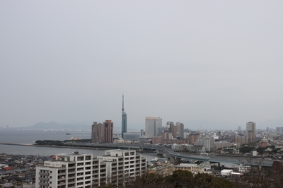 桜開花状況(4月3日)