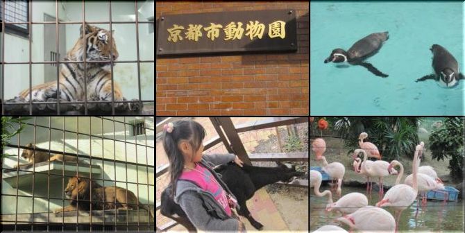 京都市動物園