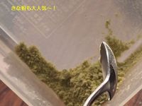 キャンプ場で迎える元旦の朝