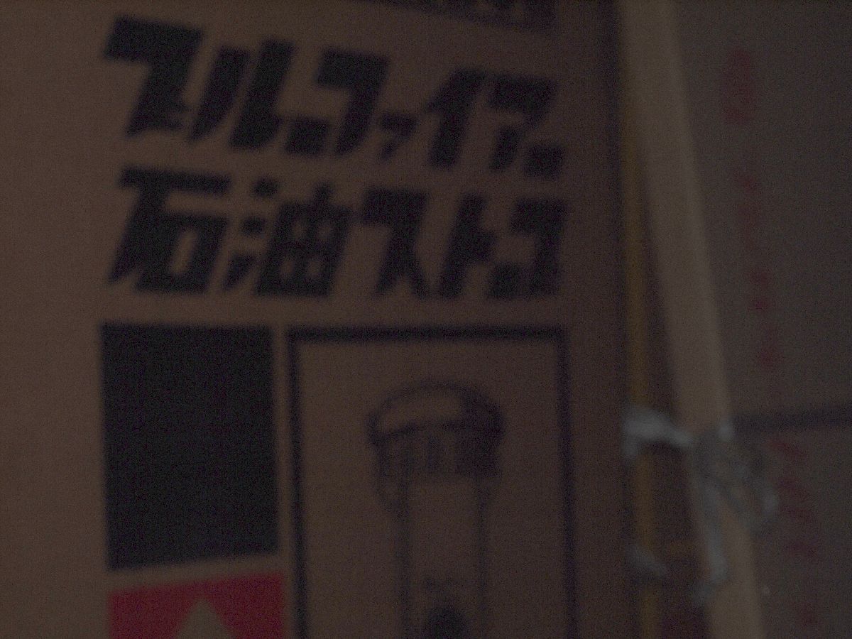 蝋梅香る頃