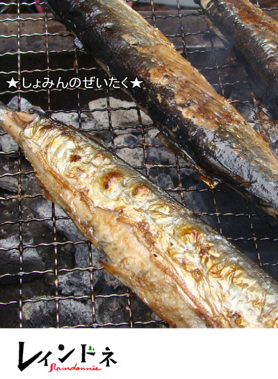 てるてる坊主の効果のほどは?~「レインドネ」創刊号!
