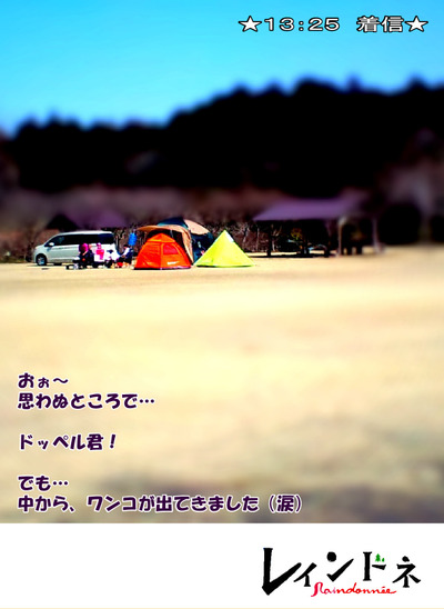 LOGOSオクタゴンデビュー!~「レインドネ」第4号!