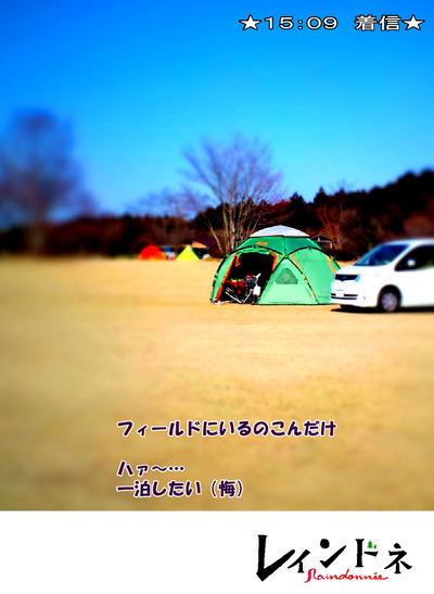 LOGOSオクタゴンデビュー!~「レインドネ」第4号!