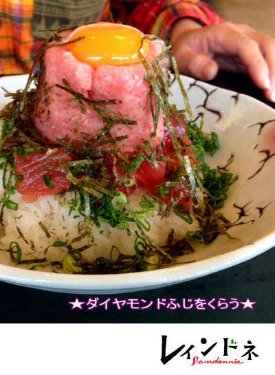 富士の周辺行脚ですが…~「レインドネ」No.8