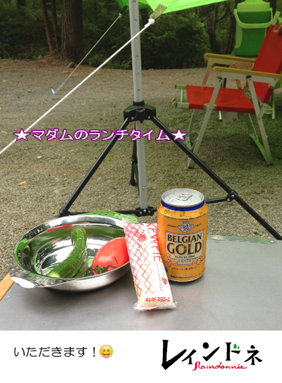嫁さんソロキャン設営〜「レインドネ」No.9