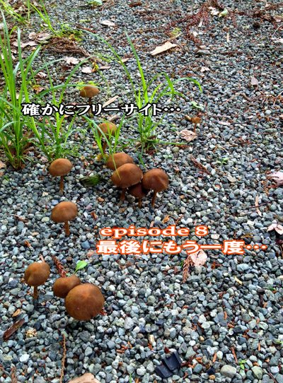 月刊「CARRRV」6月号~次号は節目の30号!