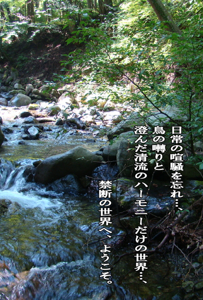 月刊GARRRV増刊号、その中身は…?