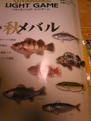 買い物 & 偵察