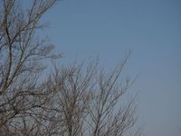 銚子ダム公園キャンプ場