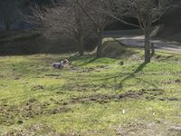 銚子ダム公園キャンプ場