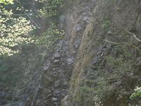 カブキャン行ってきました!その1
