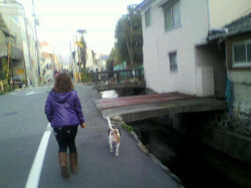 DOG LIFE