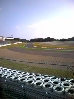 やって来ました