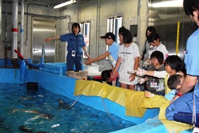 ★竜洋海洋公園オートキャンプ場に行きました~その1★