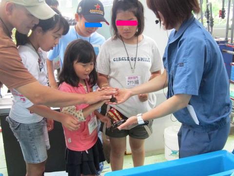 ★竜洋海洋公園オートキャンプ場に行きました~その1★