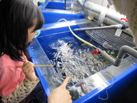 ★竜洋海洋公園オートキャンプ場に行きました~その1★