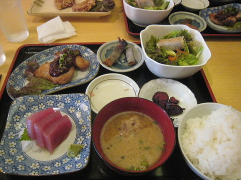 ★イルカと泳いで来ました~~(#^.^#) 和歌山県★