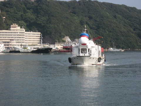★イルカと泳いで来ました~~(#^.^#) 和歌山県★