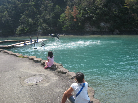 ★イルカと泳いで来ました~~(#^.^#) 和歌山県★