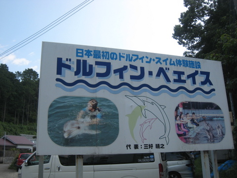 ★イルカと泳いで来ました~~(#^.^#) 和歌山県★