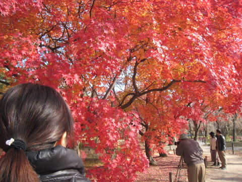 京都へ・・・・・・・(^_^)v