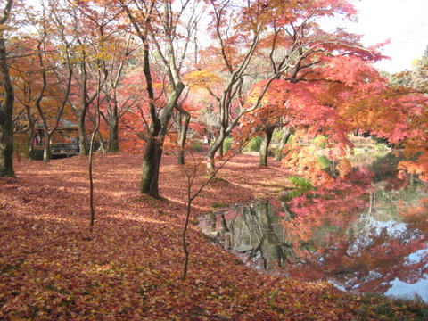 京都へ・・・・・・・(^_^)v