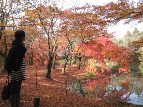 京都へ・・・・・・・(^_^)v