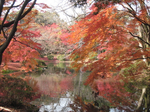 京都へ・・・・・・・(^_^)v